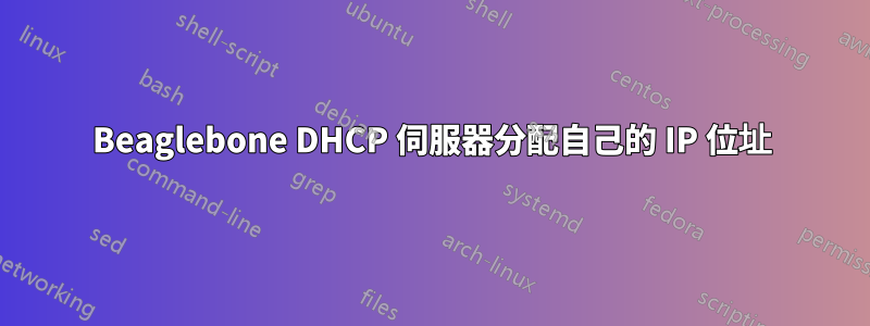 Beaglebone DHCP 伺服器分配自己的 IP 位址