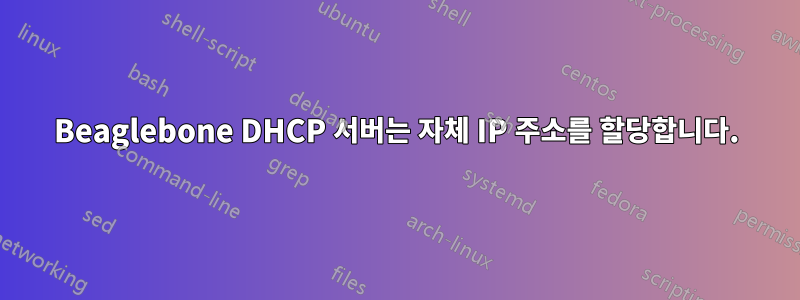 Beaglebone DHCP 서버는 자체 IP 주소를 할당합니다.