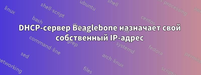DHCP-сервер Beaglebone назначает свой собственный IP-адрес