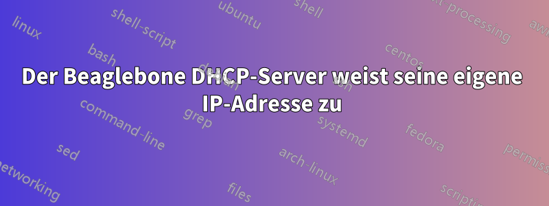 Der Beaglebone DHCP-Server weist seine eigene IP-Adresse zu