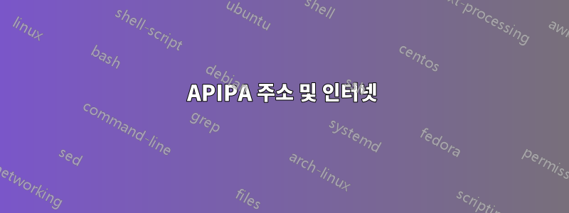APIPA 주소 및 인터넷