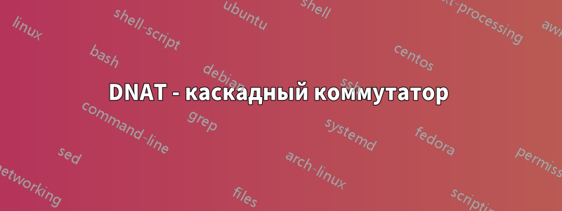 DNAT - каскадный коммутатор
