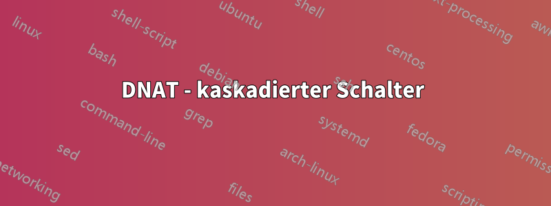 DNAT - kaskadierter Schalter