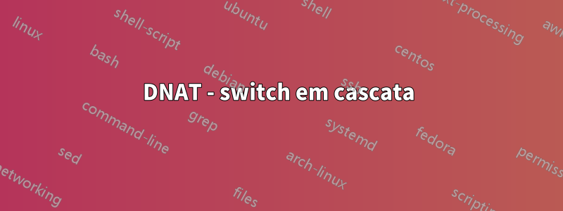 DNAT - switch em cascata