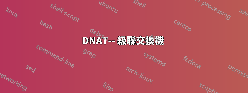 DNAT-- 級聯交換機