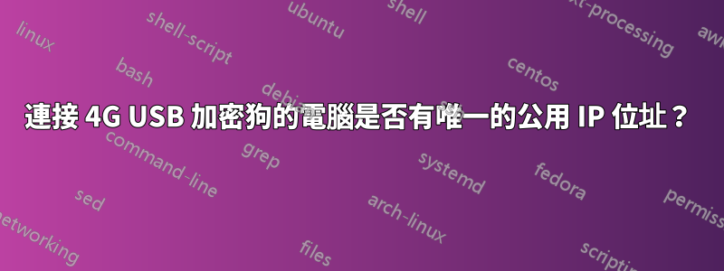 連接 4G USB 加密狗的電腦是否有唯一的公用 IP 位址?