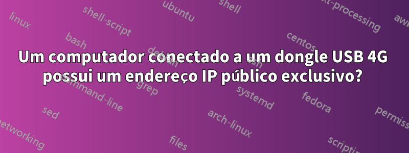 Um computador conectado a um dongle USB 4G possui um endereço IP público exclusivo?