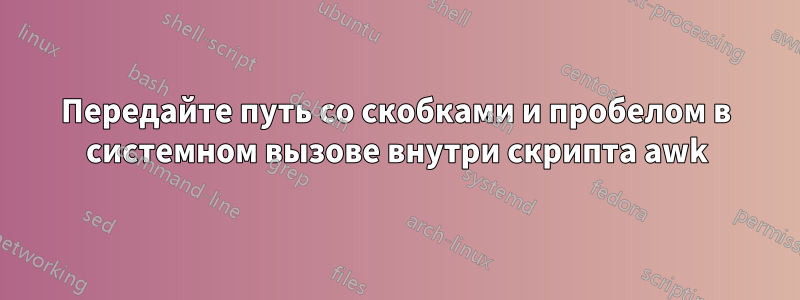 Передайте путь со скобками и пробелом в системном вызове внутри скрипта awk