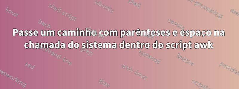 Passe um caminho com parênteses e espaço na chamada do sistema dentro do script awk