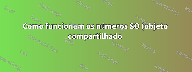 Como funcionam os números SO (objeto compartilhado)?