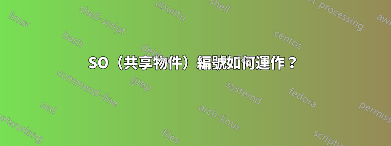 SO（共享物件）編號如何運作？