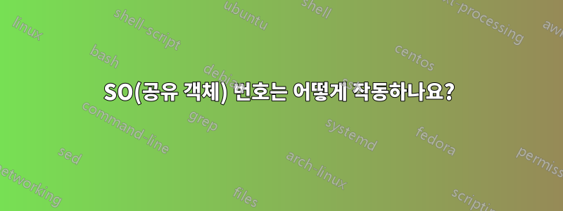 SO(공유 객체) 번호는 어떻게 작동하나요?