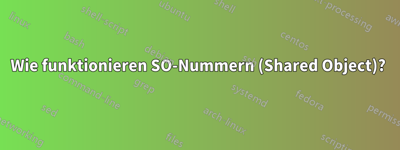 Wie funktionieren SO-Nummern (Shared Object)?