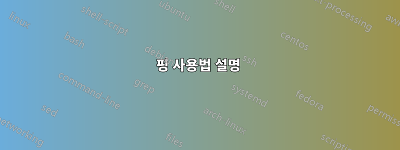 핑 사용법 설명