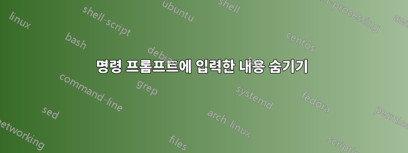 명령 프롬프트에 입력한 내용 숨기기