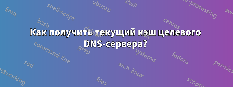 Как получить текущий кэш целевого DNS-сервера?