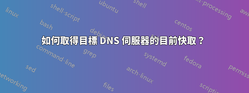 如何取得目標 DNS 伺服器的目前快取？