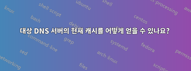 대상 DNS 서버의 현재 캐시를 어떻게 얻을 수 있나요?