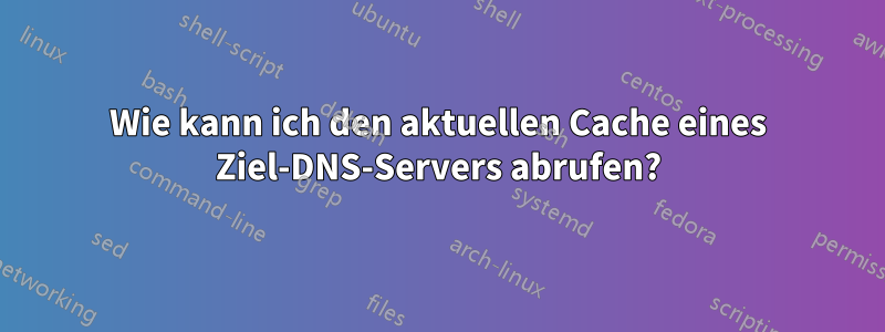 Wie kann ich den aktuellen Cache eines Ziel-DNS-Servers abrufen?