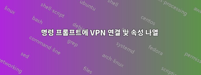 명령 프롬프트에 VPN 연결 및 속성 나열