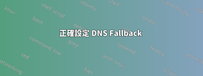 正確設定 DNS Fallback