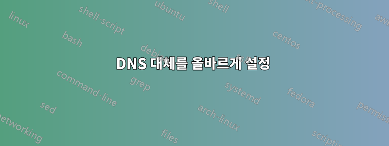 DNS 대체를 올바르게 설정