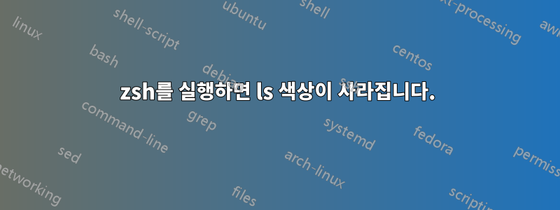 zsh를 실행하면 ls 색상이 사라집니다.