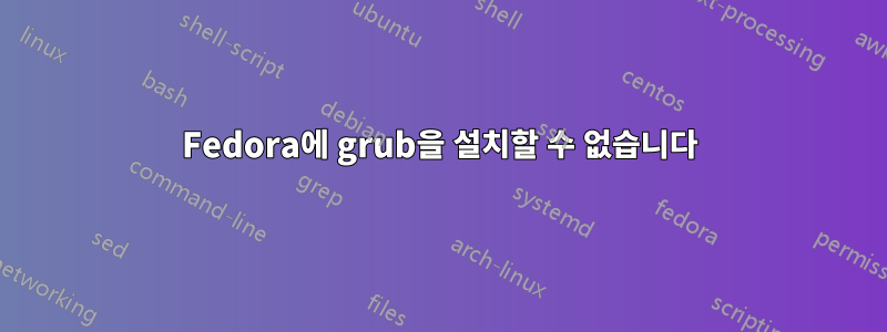 Fedora에 grub을 설치할 수 없습니다