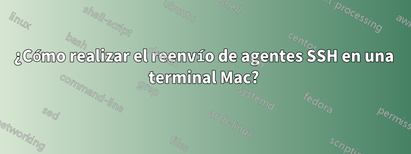 ¿Cómo realizar el reenvío de agentes SSH en una terminal Mac?