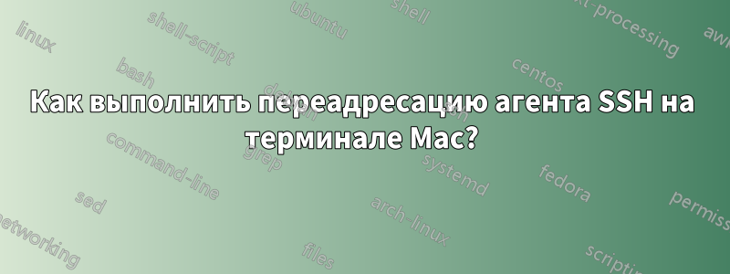 Как выполнить переадресацию агента SSH на терминале Mac?