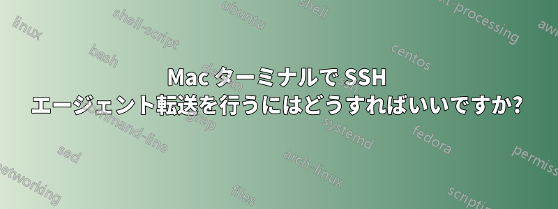 Mac ターミナルで SSH エージェント転送を行うにはどうすればいいですか?