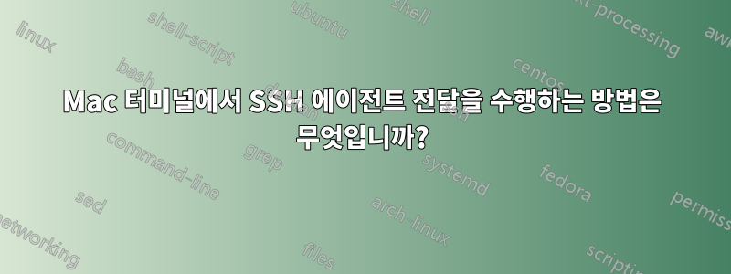 Mac 터미널에서 SSH 에이전트 전달을 수행하는 방법은 무엇입니까?