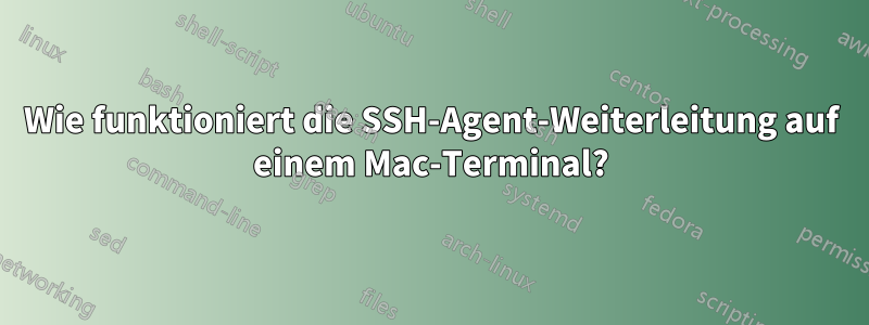 Wie funktioniert die SSH-Agent-Weiterleitung auf einem Mac-Terminal?