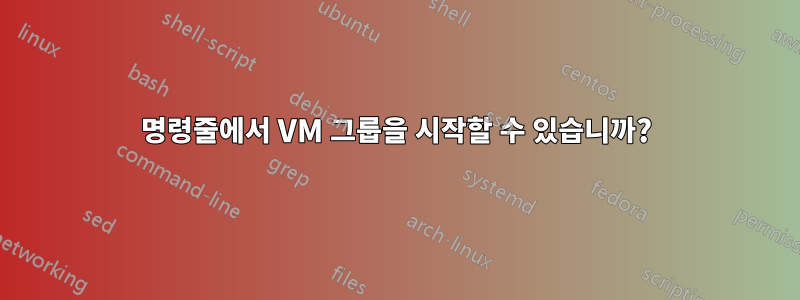 명령줄에서 VM 그룹을 시작할 수 있습니까?