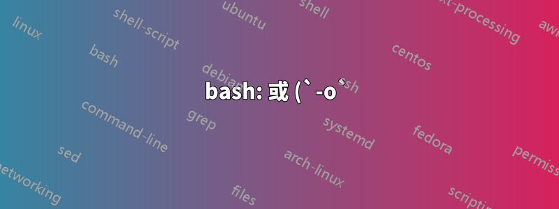 bash: 或 (`-o`) 運算子位於 `[[`(雙方括號)中