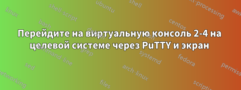 Перейдите на виртуальную консоль 2-4 на целевой системе через PuTTY и экран