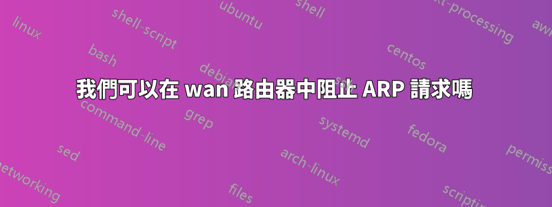 我們可以在 wan 路由器中阻止 ARP 請求嗎