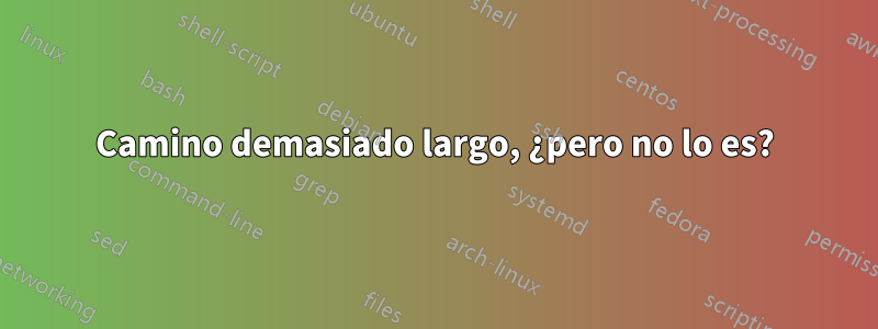 Camino demasiado largo, ¿pero no lo es?