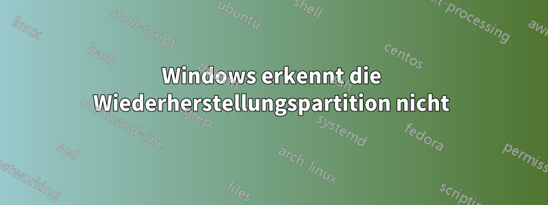 Windows erkennt die Wiederherstellungspartition nicht