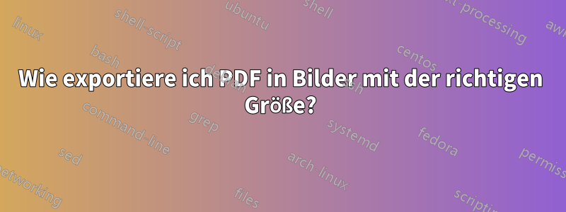 Wie exportiere ich PDF in Bilder mit der richtigen Größe?