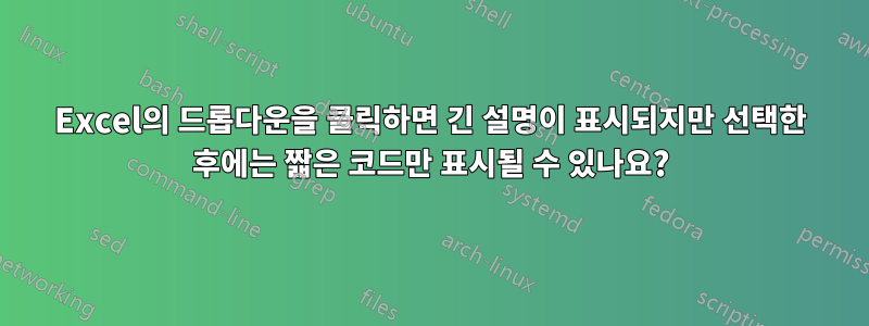 Excel의 드롭다운을 클릭하면 긴 설명이 표시되지만 선택한 후에는 짧은 코드만 표시될 수 있나요?