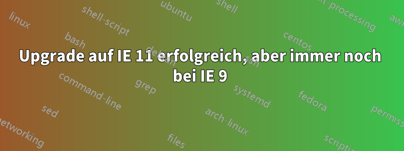 Upgrade auf IE 11 erfolgreich, aber immer noch bei IE 9