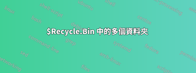 $Recycle.Bin 中的多個資料夾