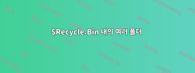 $Recycle.Bin 내의 여러 폴더