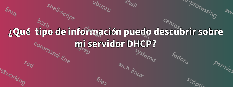 ¿Qué tipo de información puedo descubrir sobre mi servidor DHCP?