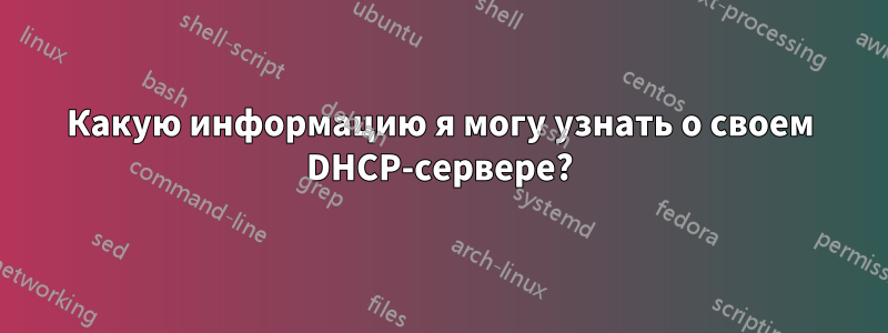 Какую информацию я могу узнать о своем DHCP-сервере?