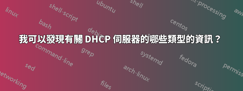 我可以發現有關 DHCP 伺服器的哪些類型的資訊？