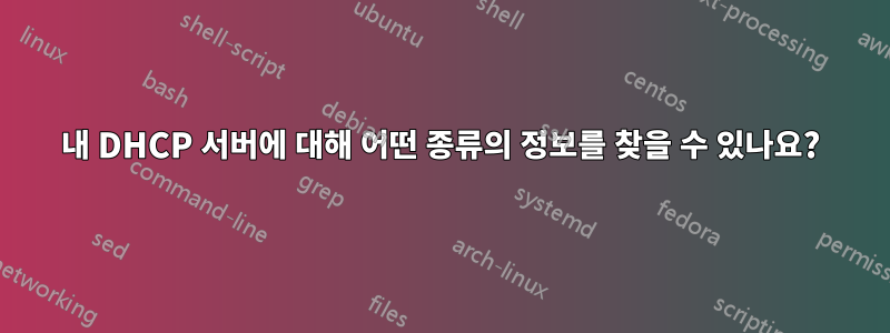 내 DHCP 서버에 대해 어떤 종류의 정보를 찾을 수 있나요?