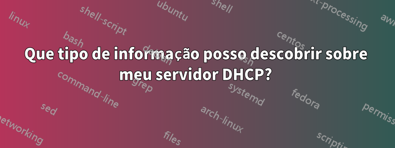 Que tipo de informação posso descobrir sobre meu servidor DHCP?