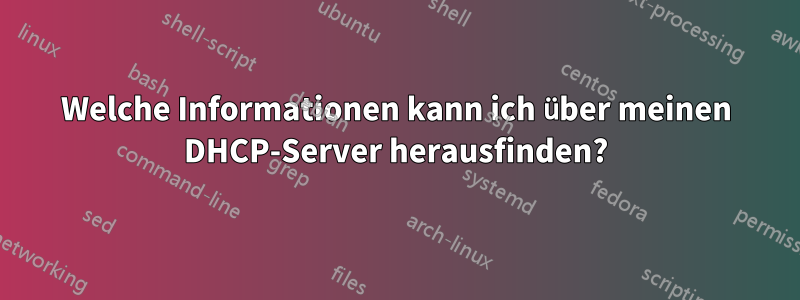 Welche Informationen kann ich über meinen DHCP-Server herausfinden?